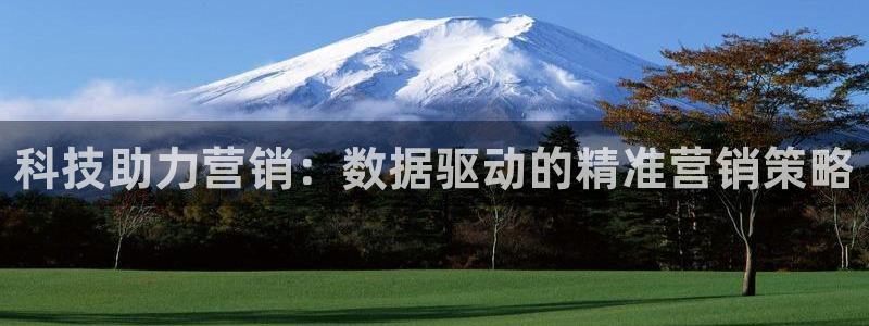 金年会sports