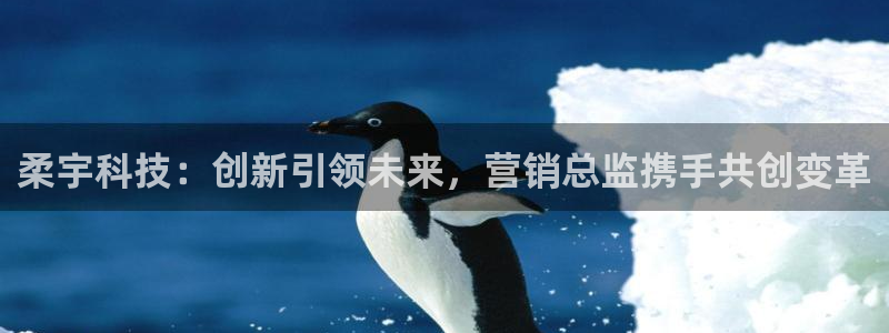金年会体育是诈骗