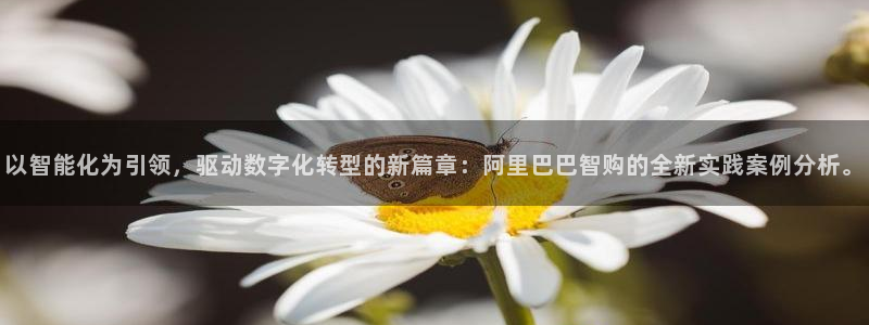 金年会体育官方微博
