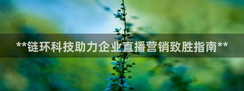 金年会app官网