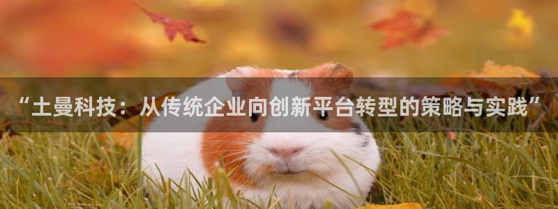 金年会官方网站入口登录网址