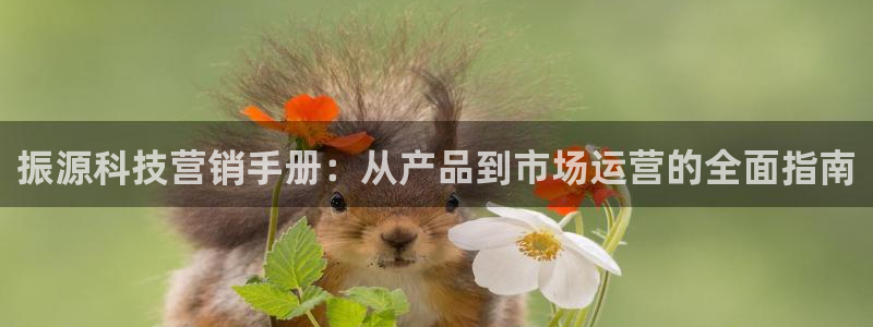 金年会官方在线登录网址是多少