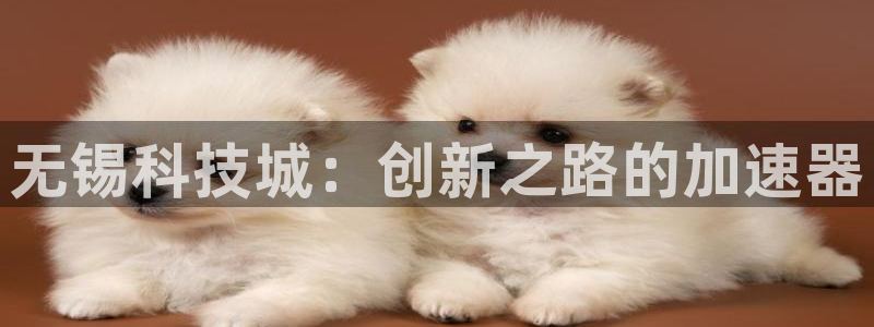 金年会金字招牌信誉至上