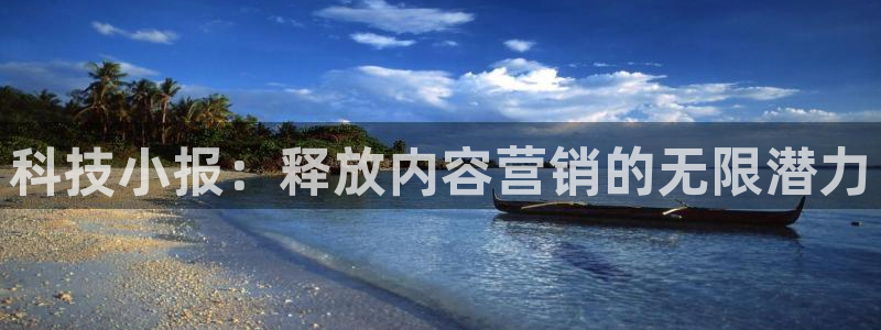 金年会平台是黑网还是白网