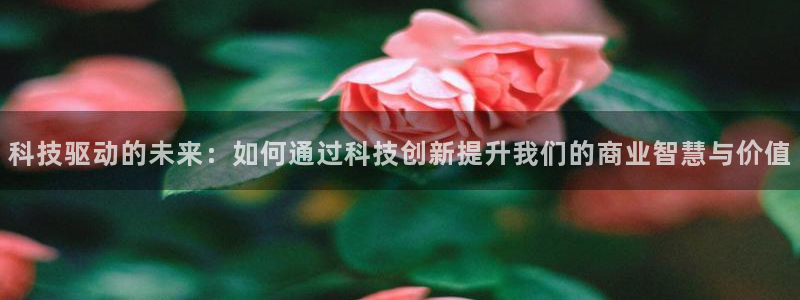 金年会平台是黑网还是白网
