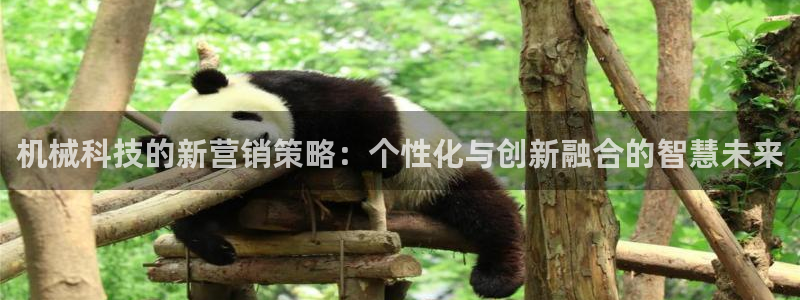 金年会体育app官网下载