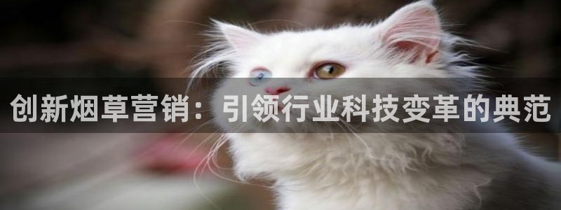 金年会app官方网站是什么