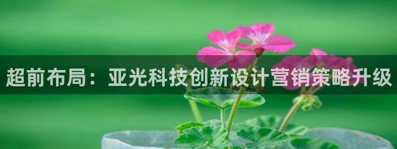金年会体育官方平台