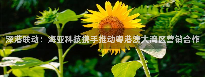 金年会网址导航下载安装