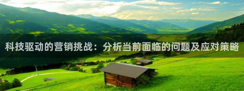 金年会VIP