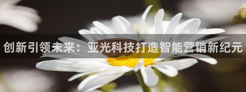 金年会黑不黑