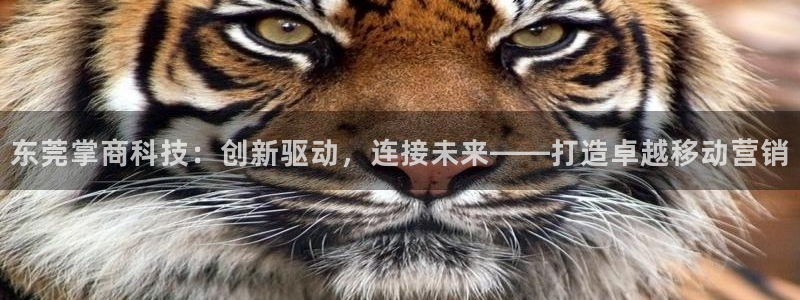 金年会网页版登陆入口