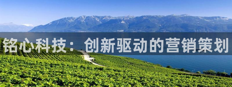 金年会官方网站入口v1.5.7