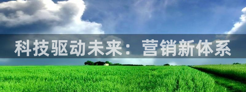 金年会体育app下载官网安卓
