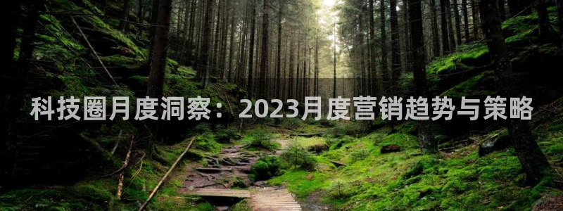 金年会官方在线入口网址查询