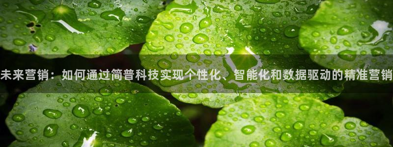 金年会APP官方网站