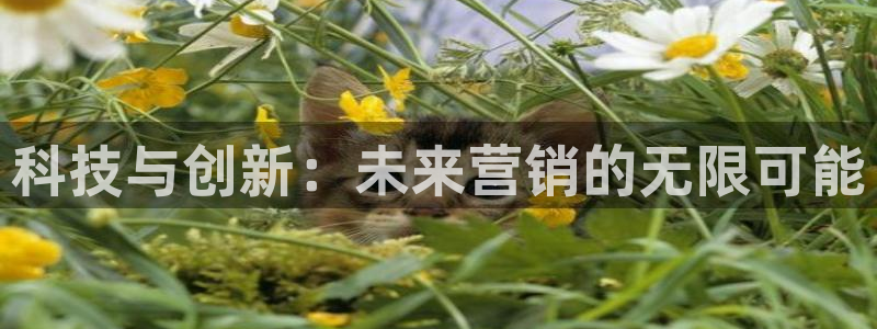 金年会手机版下载