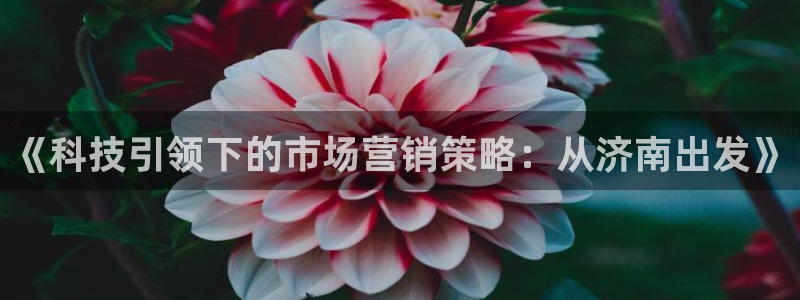 金年会网站下载
