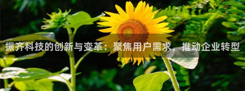 金年会pg麻将胡了几张牌