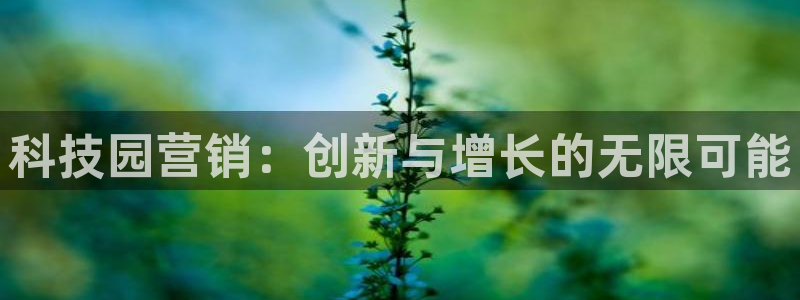 金年会电子
