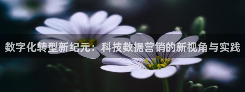 金年会网站拒绝出款怎么办?