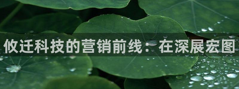 金年会荣誉至上