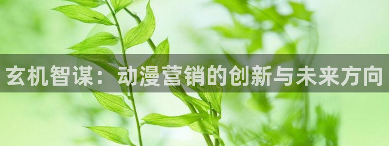金年会体育app官网下载