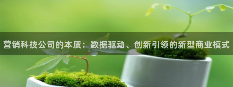 金年会App是不是钓鱼软件