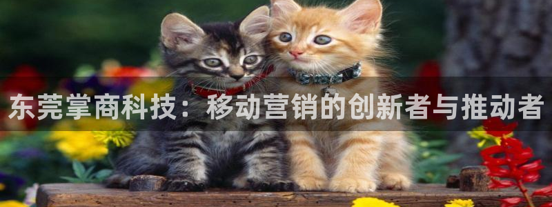 金年会手机版官方下载
