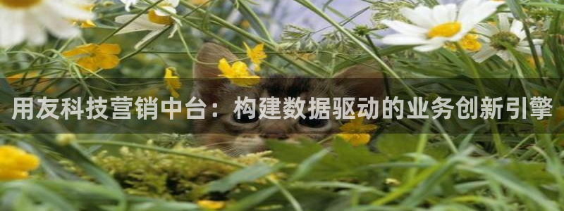 金年会是正规平台吗