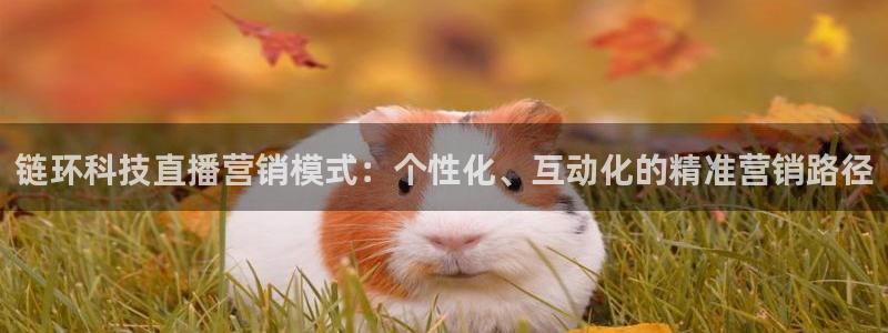 金年会体育网站