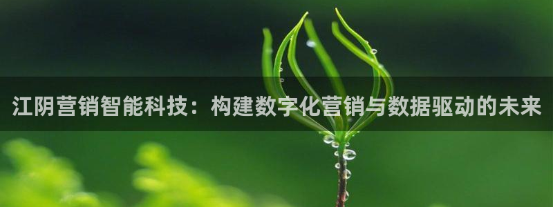 金年会官方娱乐app