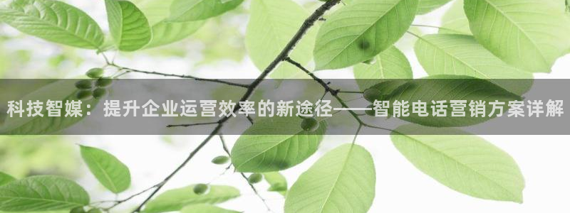 金年会体育网页登录