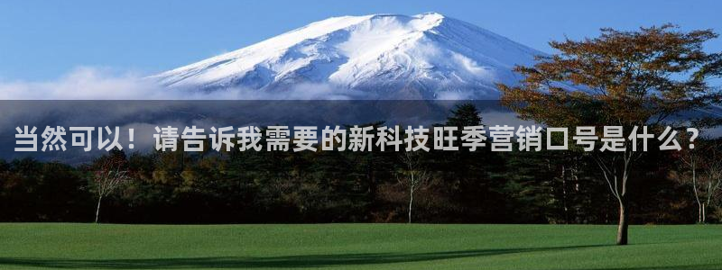 金年会体育那一年注册