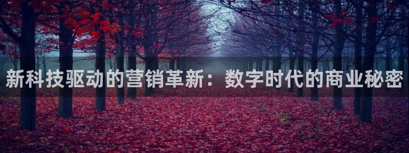 金年会登录网址