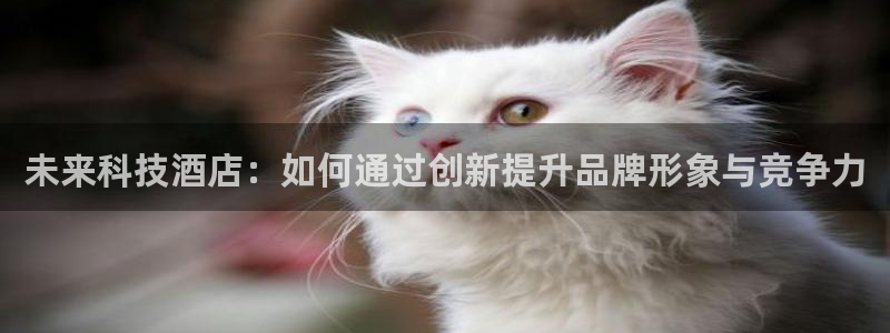 金年会网站不给出款怎么办