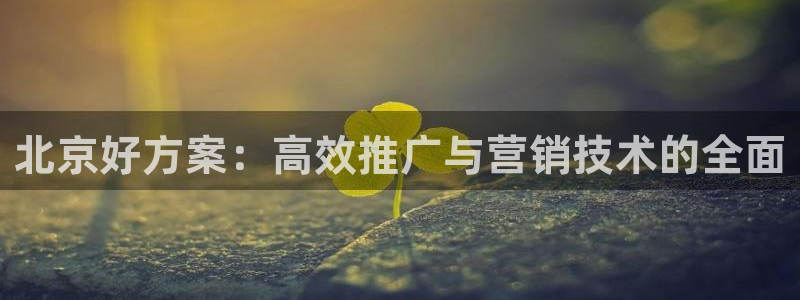 金年会信誉至上是什么意思