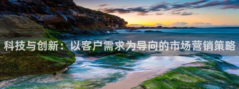 金年会官方入口APP