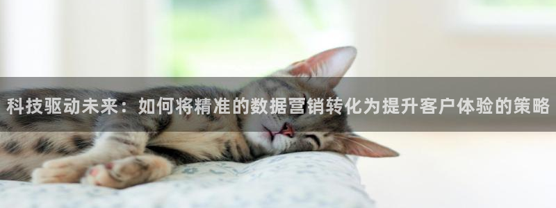 金年会网站被拒绝出款怎么处理?