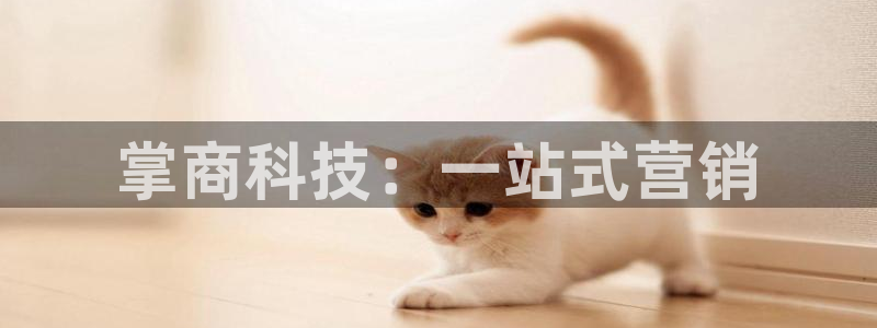 金年会体育出款被要求安全认证怎么办