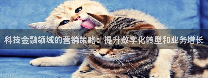 金年会金字招牌app下载