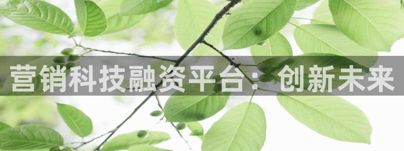金年会体育官网登录入口网址