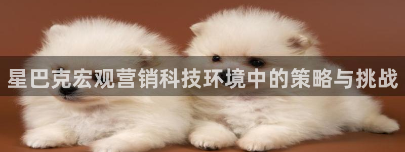 金年会体育电子登录入口