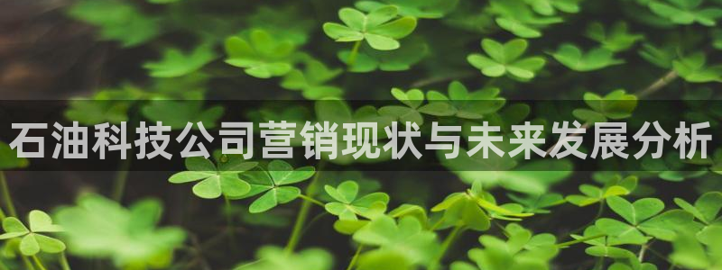 金年会app登录官网