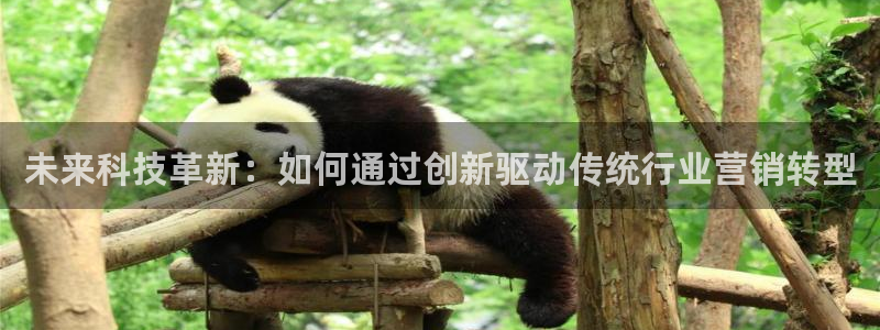 金年会网页版在线登录官网下载