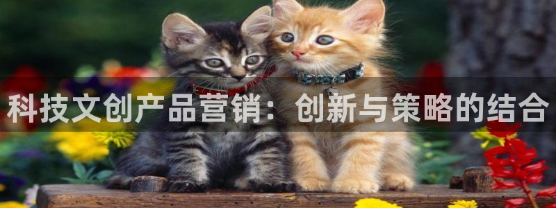 金年会官方网站登录网址是多少