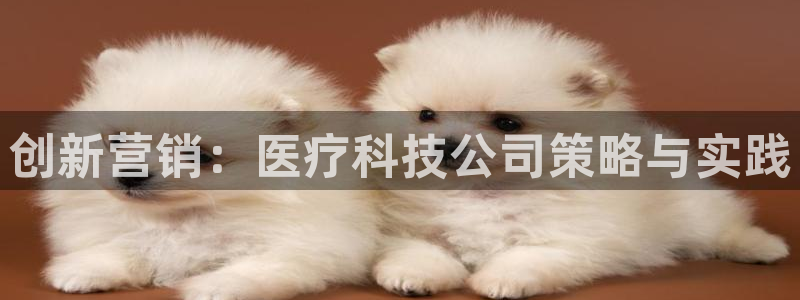 金年会官方网站登录网址