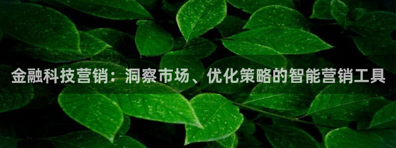 金年会网站入口登录
