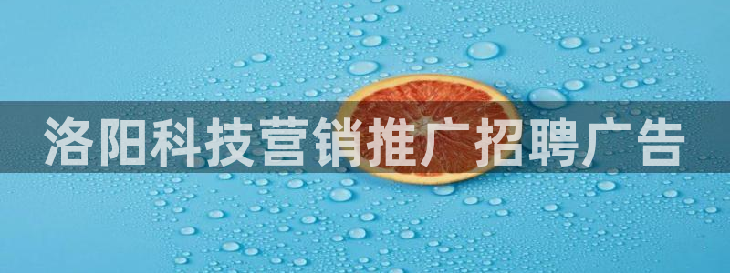 金年会手机网页版登录入口