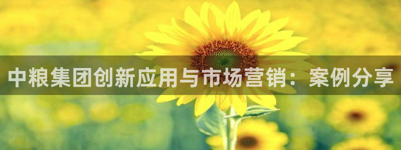 金年会官方网址登录入口